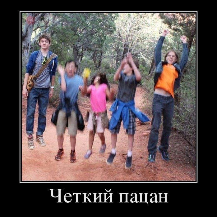 Открытки демотиваторы. Прикольные открытки в демотиваторах. 