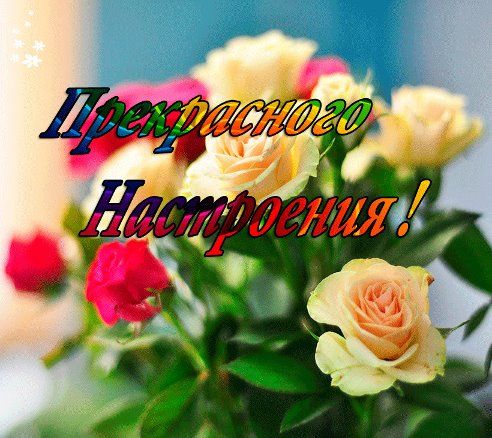 Открытки с цветами для хорошего настроения. Порадовать открыткой.