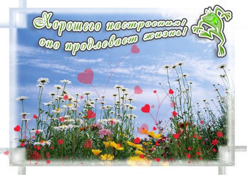 Открытки с цветами для хорошего настроения. Порадовать открыткой.