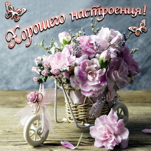 Открытки для хорошего настроения. Красивые открытки - хорошего настроения.