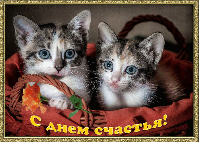 Открытки Открытки с поздравлениями ко Дню счастья. С Днём счастья открытки. Открытки с поздравлениями ко Дню счастья. С Днём счастья открытки. Красивые открытки смотреть онлайн бесплатно. Поздравления на День счастья. Пожелания счастливой жизни.
