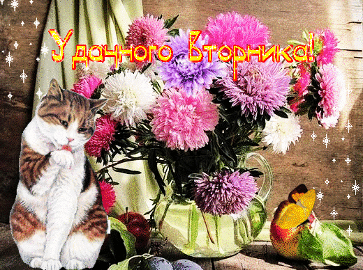 Открытки с пожеланием удачного вторника. Хорошего вторника. 
