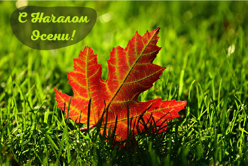 Открытки с поздравлениями с началом осени. Начало осени открытки.