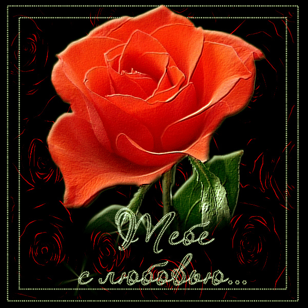 Открытки с цветами с надписью - С любовью! Цветы с любовью, открытки для женщин.