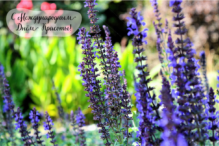 Открытки Поздравления с международным Днём Красоты. С Днём Красоты!!! Поздравления с международным Днём Красоты. С Днём Красоты!!! Красивые открытки смотреть онлайн бесплатно. Открытки с поздравлениями с международным Днём Красоты.