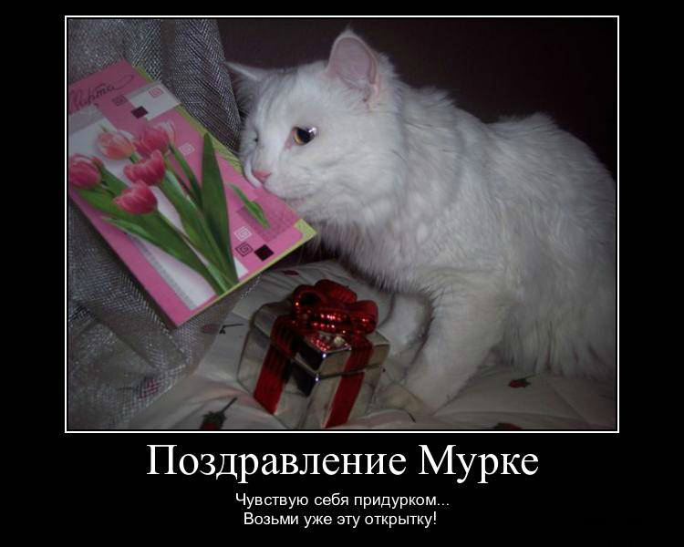 Открытки демотиваторы. Прикольные открытки в демотиваторах. 