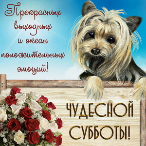 Открытки с пожеланием удачной субботы. Открытки на субботу. 