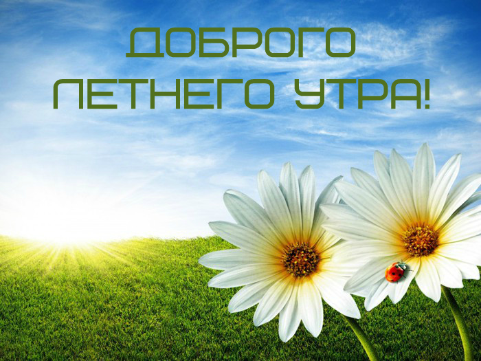 Открытки на лето. Пожелания хороших летних дней. Летние открытки.