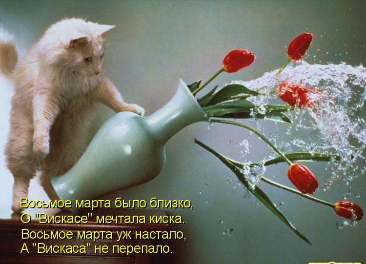 Открытки с животными. Прикольные открытки с животными. Юмор и животные.