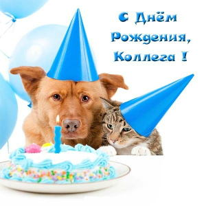 Открытки с поздравлением на День Рождения коллеге. Открытки коллеге.