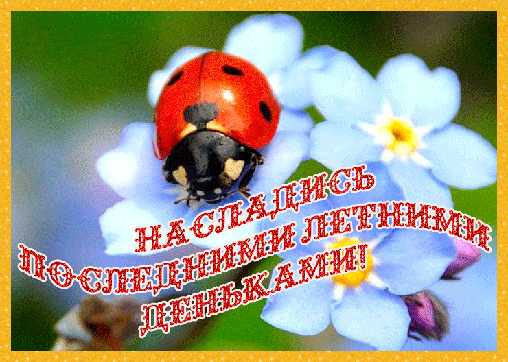 Открытки на лето. Пожелания хороших летних дней. Летние открытки.
