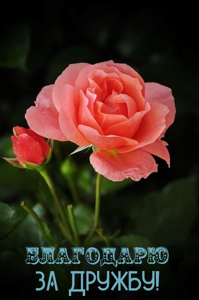 Открытки с любовью для друзей. Открытки другу и подруге, друзьям.