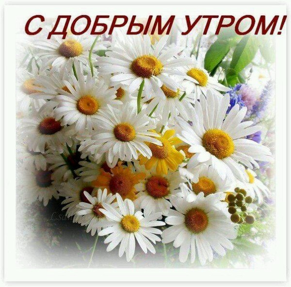Открытки с надписью - доброе утро.  Открытки с добрым утром.
