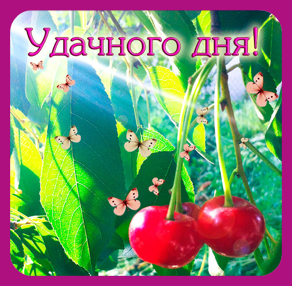 Открытки на каждый день - удачного дня! Открытки с пожеланием удачного дня.