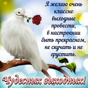 Открытки с пожеланием хороших выходных. Открытки на выходные.