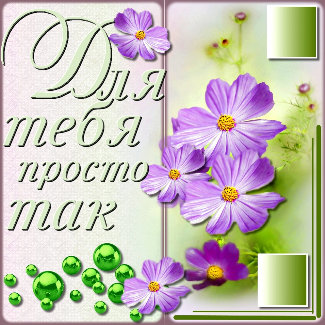 Открытки с цветами и надписью - просто так! Открытки для женщин.