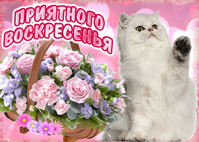 Открытки с пожеланием удачного воскресенья. Открытки на воскресенье.