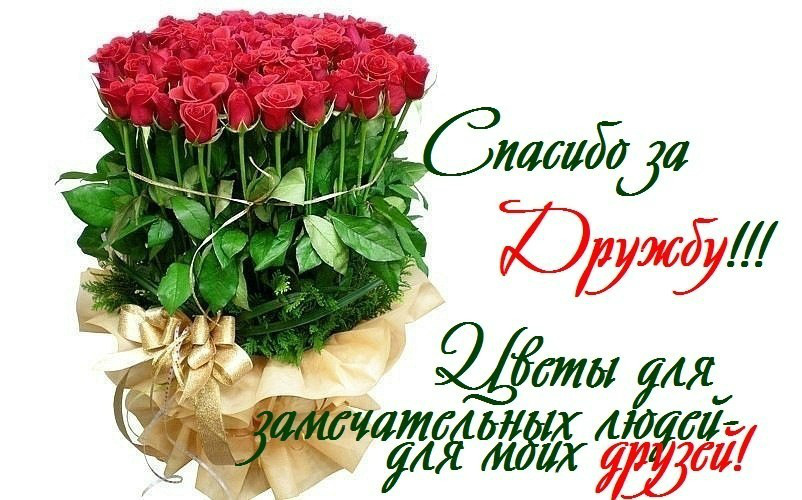 Открытки с любовью для друзей. Открытки другу и подруге, друзьям.