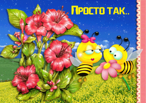 Открытки с цветами и надписью - просто так! Открытки для женщин.