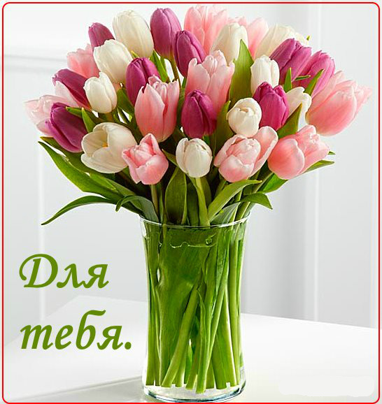 Красивые открытки с цветами с надписью - для тебя. Цветы для тебя.