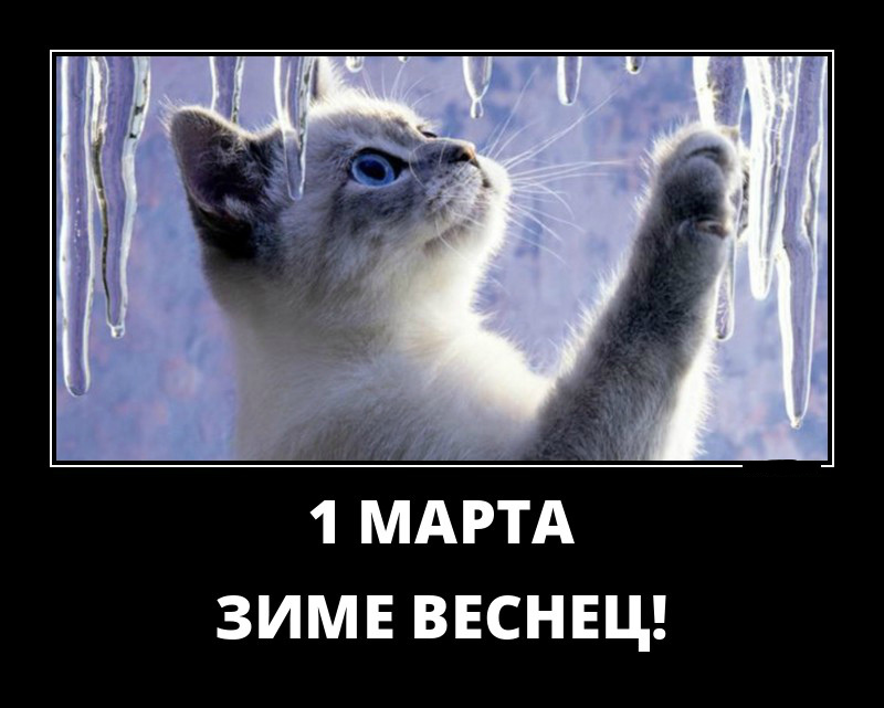 Открытки демотиваторы. Прикольные открытки в демотиваторах. 