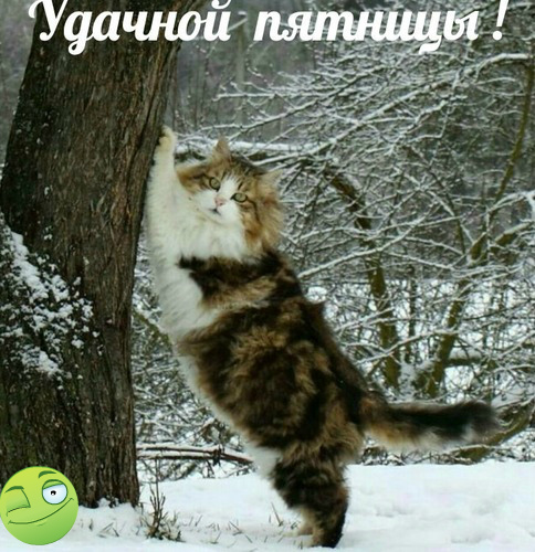 Открытки с пожеланием удачной пятницы. Открытки на пятницу. 