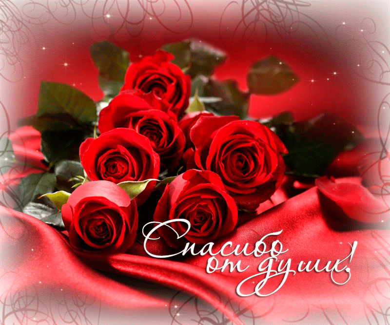 Открытки с надписью - спасибо!   Открытки с благодарностями.