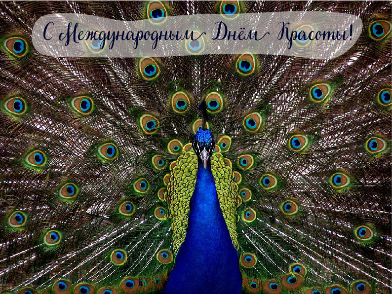 Открытки Поздравления с международным Днём Красоты. С Днём Красоты!!! Поздравления с международным Днём Красоты. С Днём Красоты!!! Красивые открытки смотреть онлайн бесплатно. Открытки с поздравлениями с международным Днём Красоты.