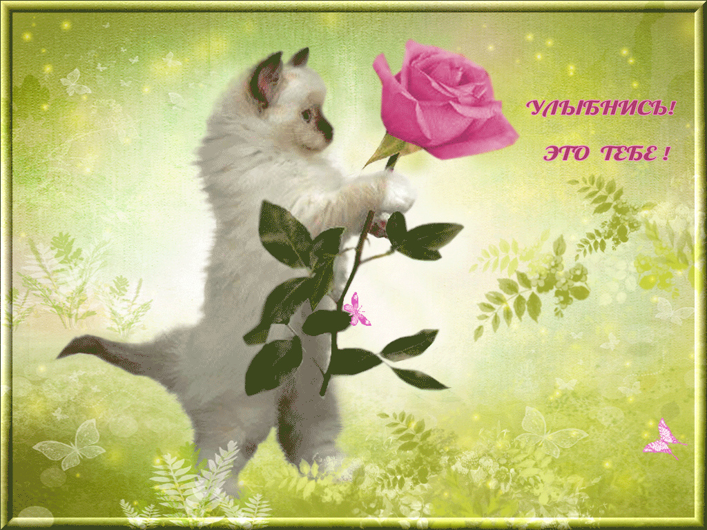 Открытки Открытки для улыбки. Пожелания хорошего настроения и улыбок. Открытки для улыбки. Пожелания хорошего настроения и улыбок. Красивые открытки смотреть онлайн бесплатно. Пожелания улыбок для родных и близких. Улыбнись миру!!