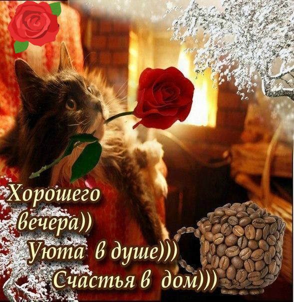 Открытки с надписью - приятного вечера! Открытки на каждый день.