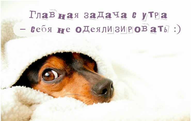 Открытки с животными. Прикольные открытки с животными. Юмор и животные.