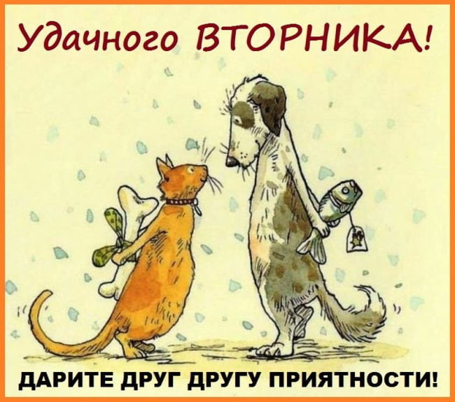 Открытки с пожеланием удачного вторника. Хорошего вторника. 