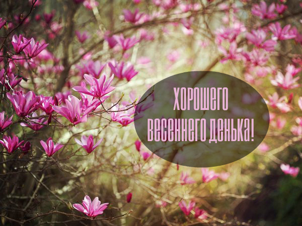 Открытки Открытки на весну. Весенние открытки. Весенние пожелания на каждый день. Открытки на весну. Весенние открытки. Весенние пожелания на каждый день. Красивые открытки смотреть онлайн бесплатно. Весеннее настроение и пожелание хорошего дня.