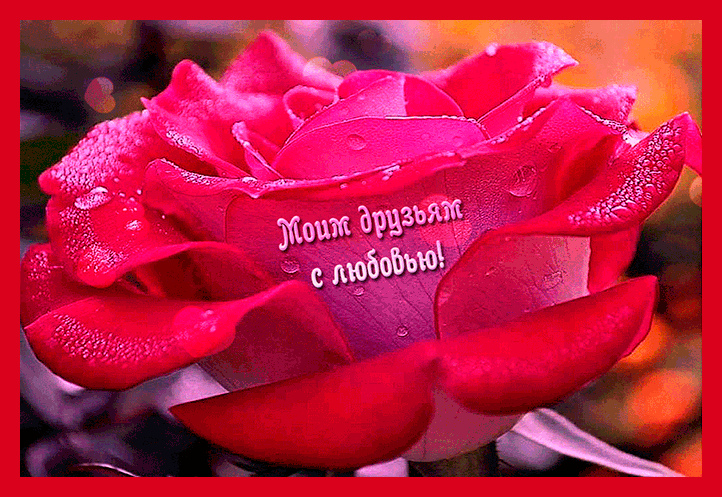 Открытки с любовью для друзей. Открытки другу и подруге, друзьям.