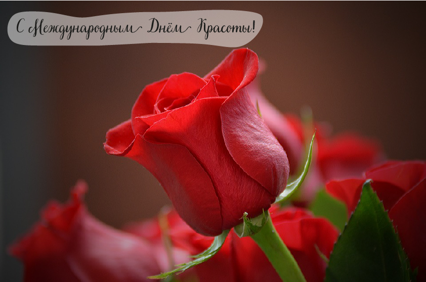 Открытки Поздравления с международным Днём Красоты. С Днём Красоты!!! Поздравления с международным Днём Красоты. С Днём Красоты!!! Красивые открытки смотреть онлайн бесплатно. Открытки с поздравлениями с международным Днём Красоты.