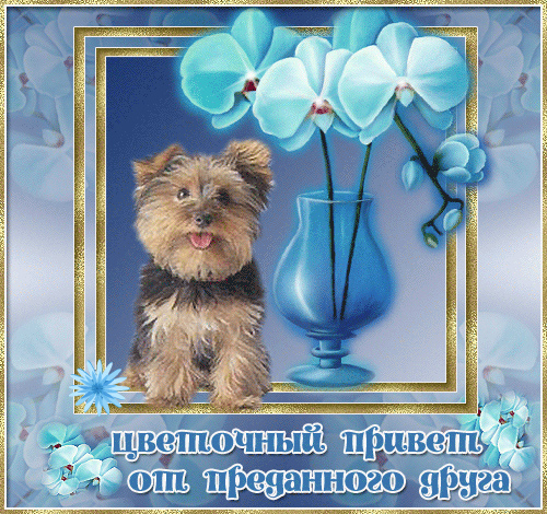 Открытки с приветствием друзей. Открытки для друга и подруги.