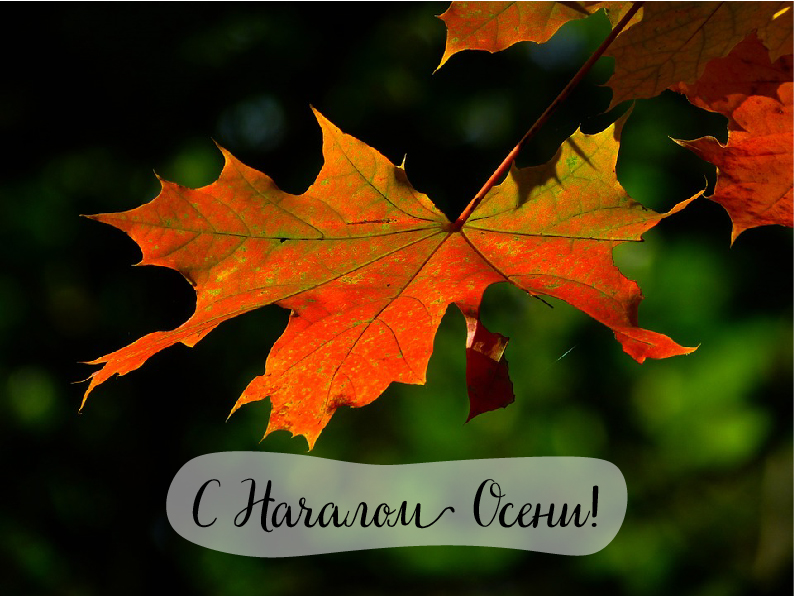Открытки с поздравлениями с началом осени. Начало осени открытки.