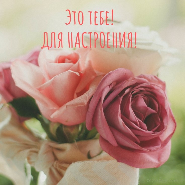 Открытки с цветами для хорошего настроения. Порадовать открыткой.