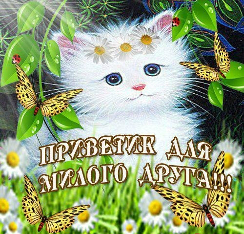 Открытки с приветствием друзей. Открытки для друга и подруги.