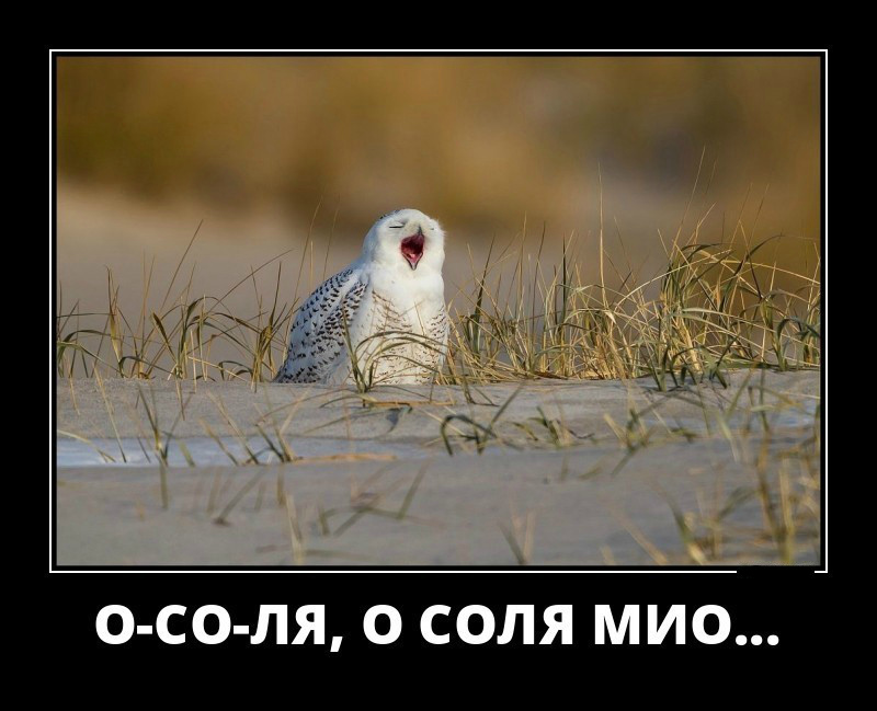 Открытки демотиваторы. Прикольные открытки в демотиваторах. 