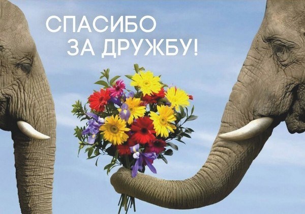 Открытки друзьям с благодарностями за дружбу. Открытки для друзей.