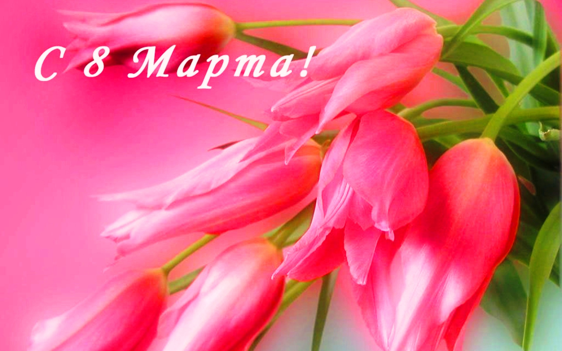 Открытки с поздравлением к 8 марта. Открытки на женский день.