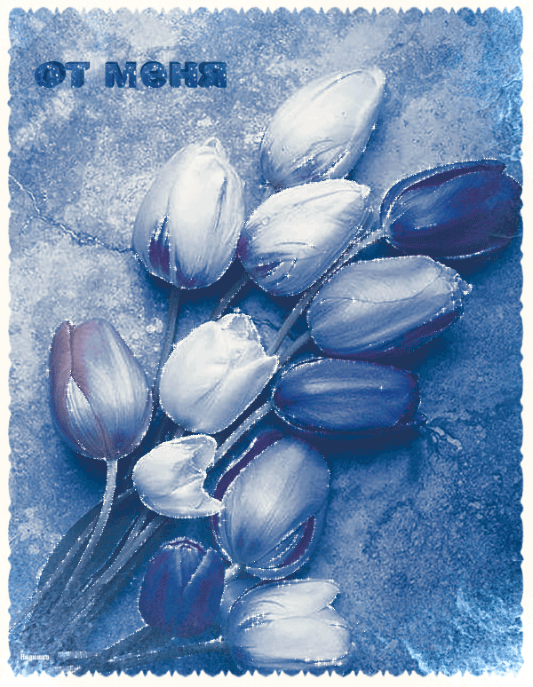 Открытки с цветами и надписью - от меня! Открытки для женщин.