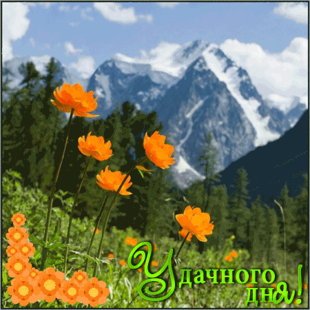 Открытки на каждый день - удачного дня! Открытки с пожеланием удачного дня.