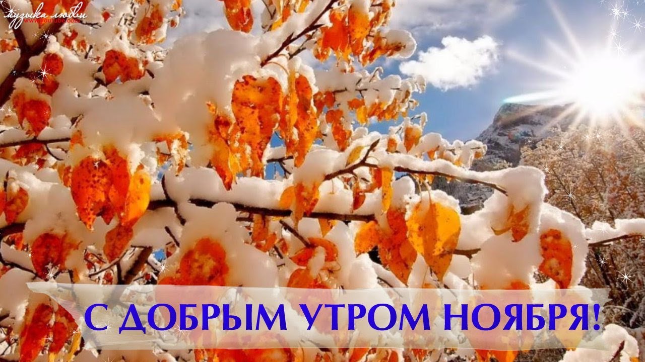 Открытки с надписью - доброе утро.  Открытки с добрым утром. 