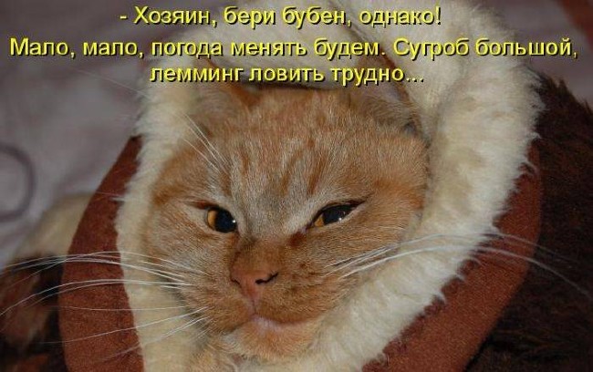 Открытки с животными. Прикольные открытки с животными. Юмор и животные.