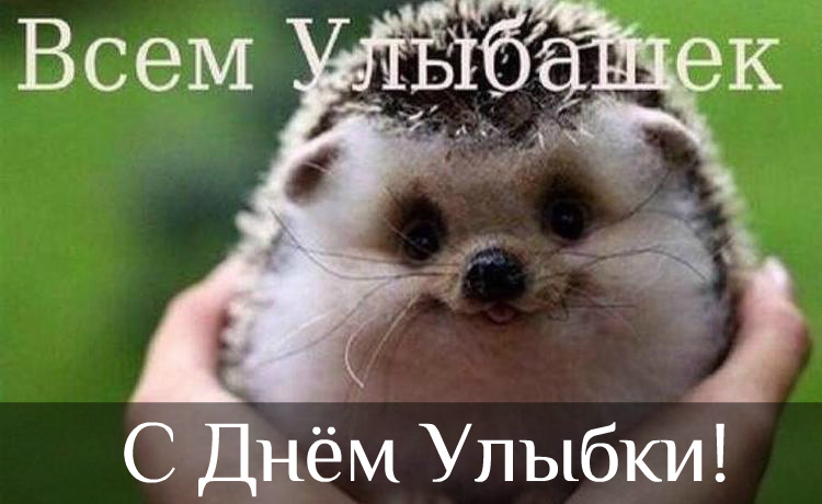 Открытки с поздравлениями на День улыбки. С Днём улыбки. Праздник.