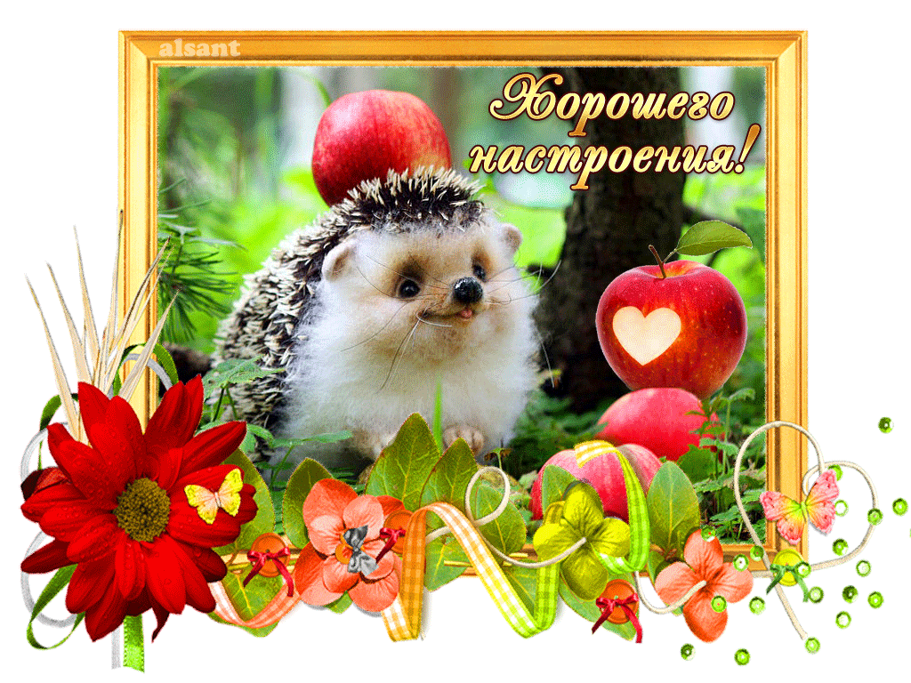 Открытки для хорошего настроения. Красивые открытки - хорошего настроения.