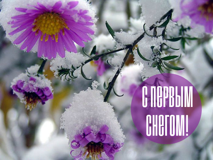 Открытки Открытки к первому снегу. Поздравления с первым выпавшим снегом. Открытки к первому снегу. Поздравления с первым выпавшим снегом. Красивые открытки смотреть онлайн бесплатно. Первый снег поздравления для родных и близких. С первым снегом!