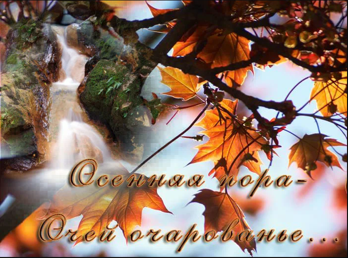 Открытки Открытки на осень. Осенние открытки. С осенью поздравления.  Открытки на осень. Осенние открытки. С осенью поздравления. Красивые открытки смотреть онлайн бесплатно. Хорошего осеннего дня и осеннего утра. Осенние открытки для близких.